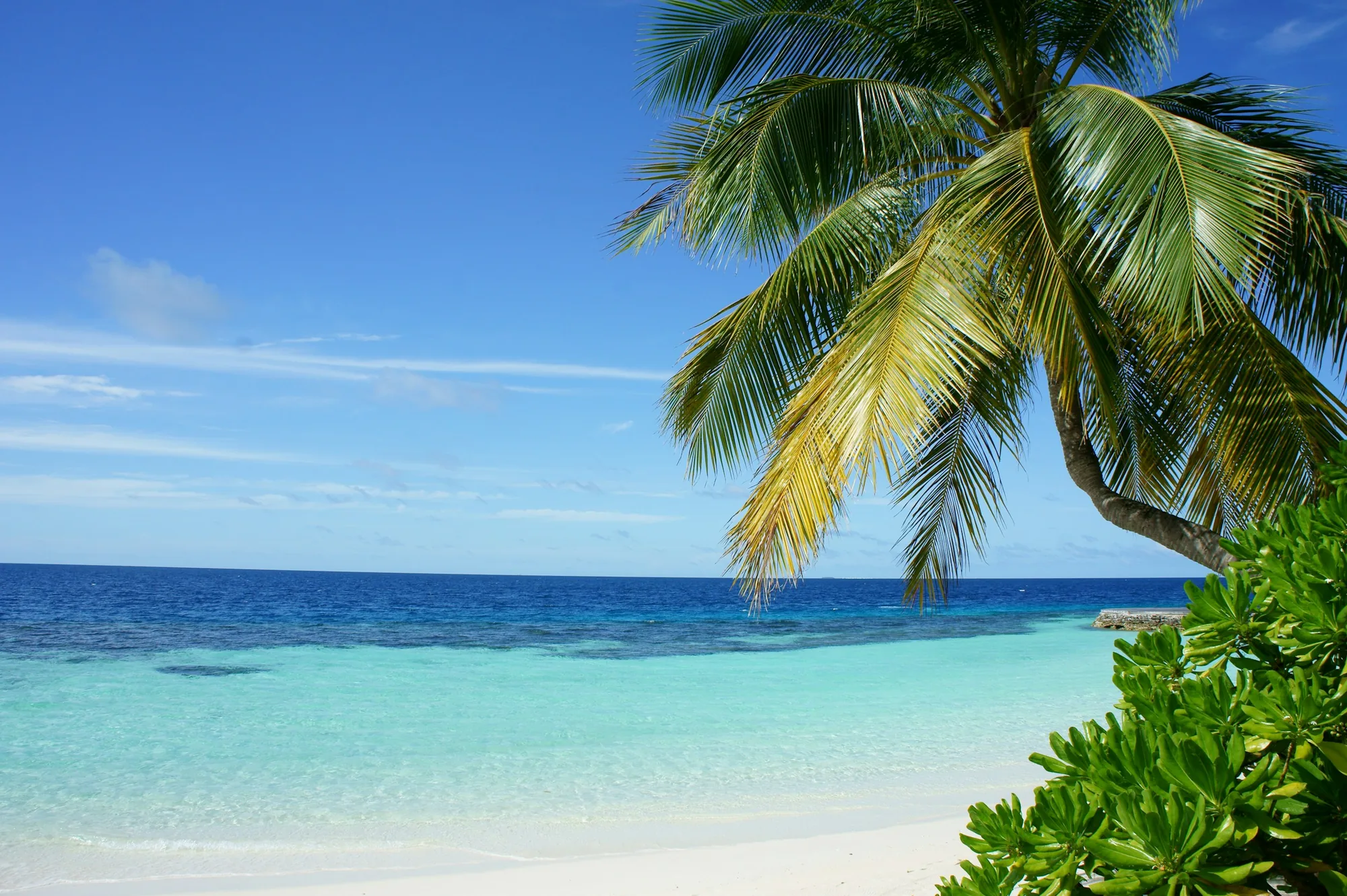 Beach & Coast