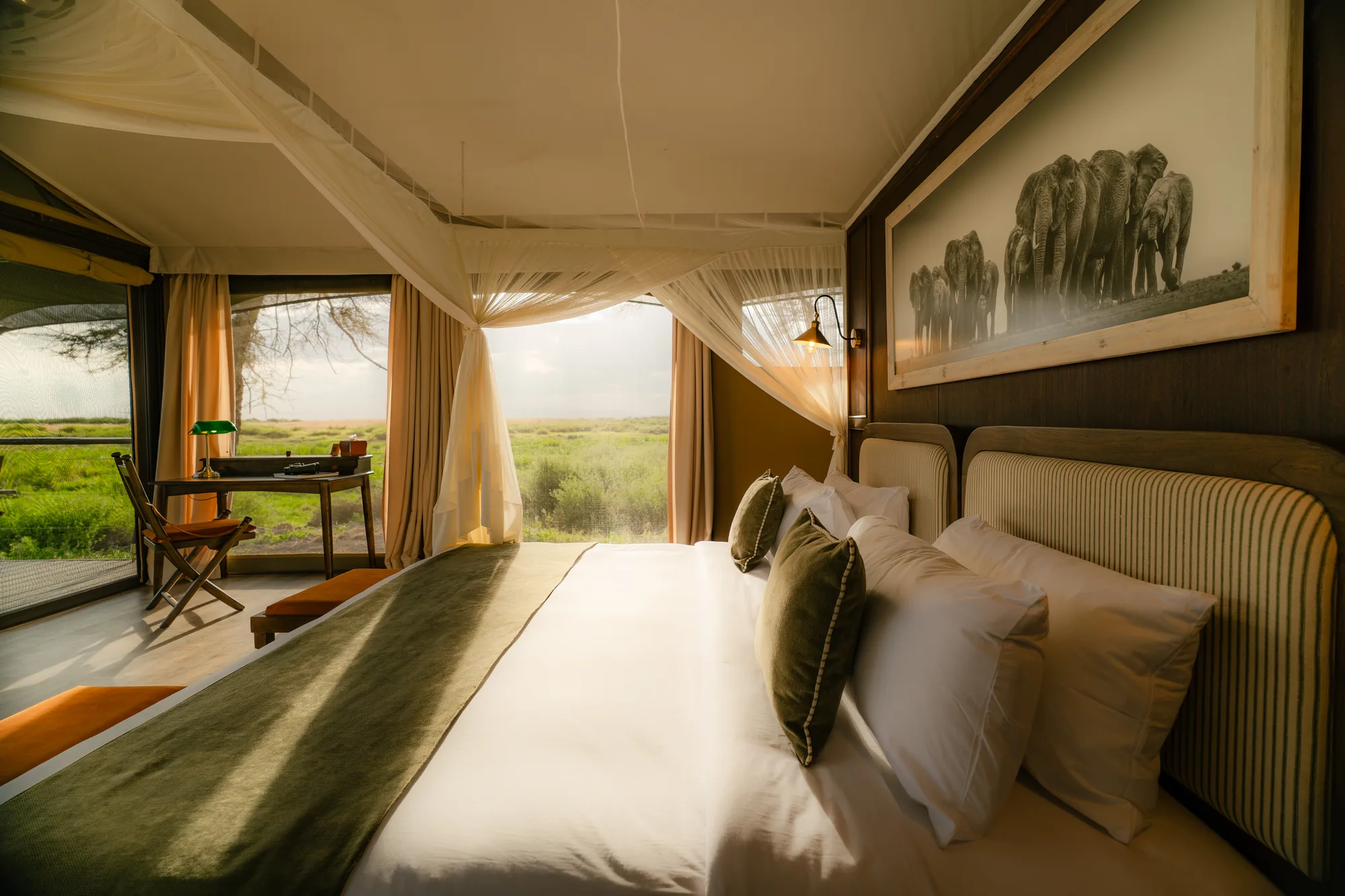 Standard Tent